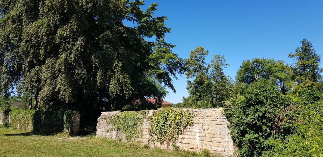 Le 49 Cote Parc & Spa Domblans Exterior photo